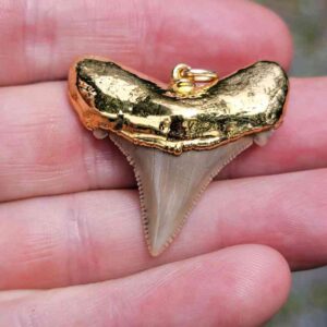 Gold Plated Megalodon Tooth Pendant