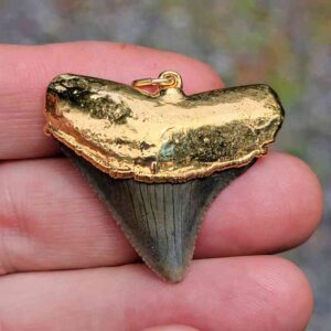 Gold Plated Megalodon Tooth Pendant