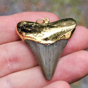 Gold Plated Megalodon Tooth Pendant