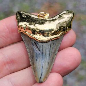 Gold Plated Megalodon Tooth Pendant