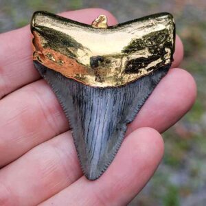 Gold Plated Megalodon Tooth Pendant