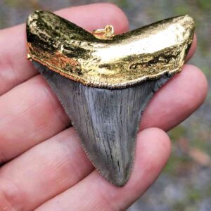 Gold Plated Megalodon Pendant