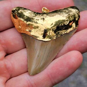 Gold Plated Megalodon Tooth Pendant