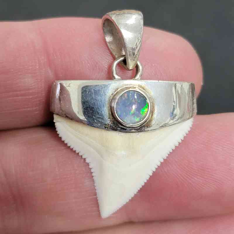 .925 Silver Capp Modern Bull Shark Tooth